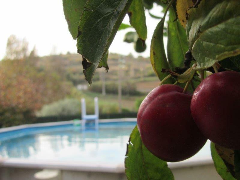 Quintal Do Freixo - Country House Sobral de Monte Agraco Exterior photo